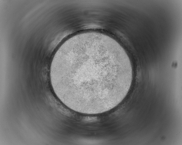 X0000114221313200911201036
