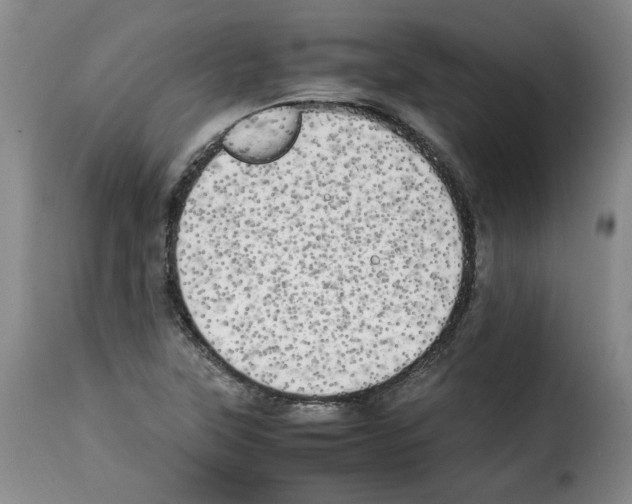 X0000114221315200911201036