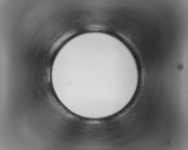 X0000114221317200911201036