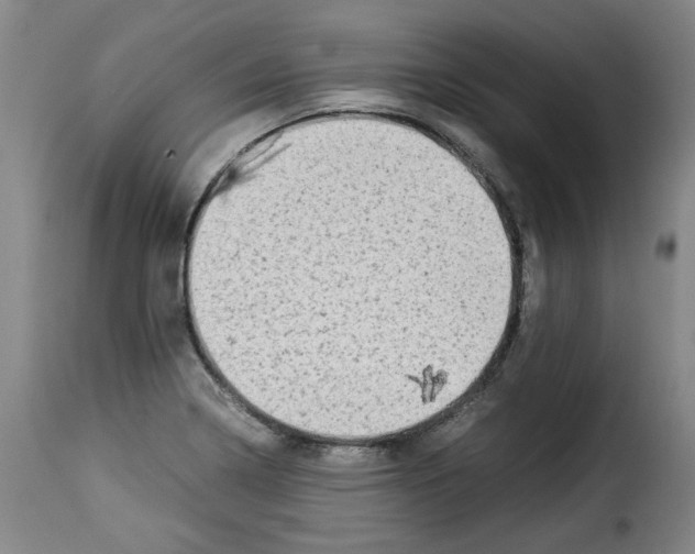X0000114221322200911201036