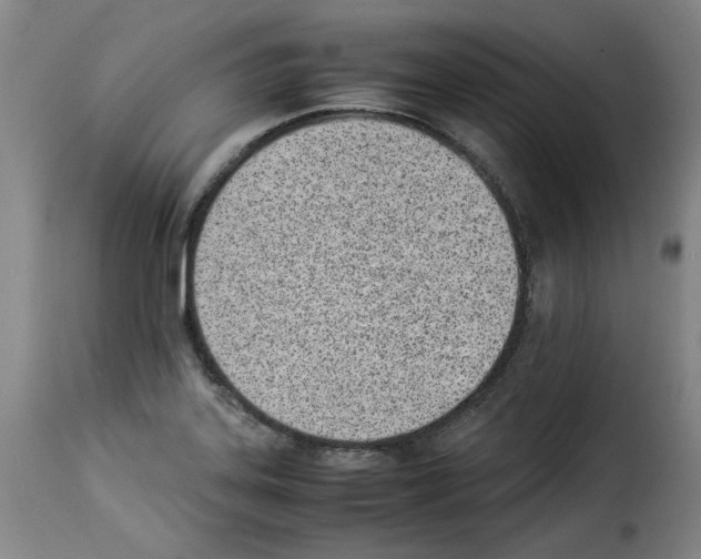 X0000114221323200911201036