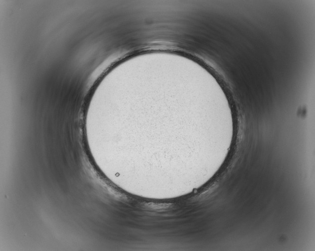 X0000114221325200911201036