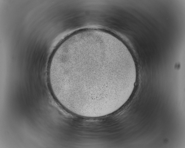 X0000114221327200911201036