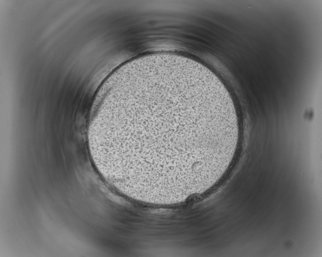 X0000114221329200911201036