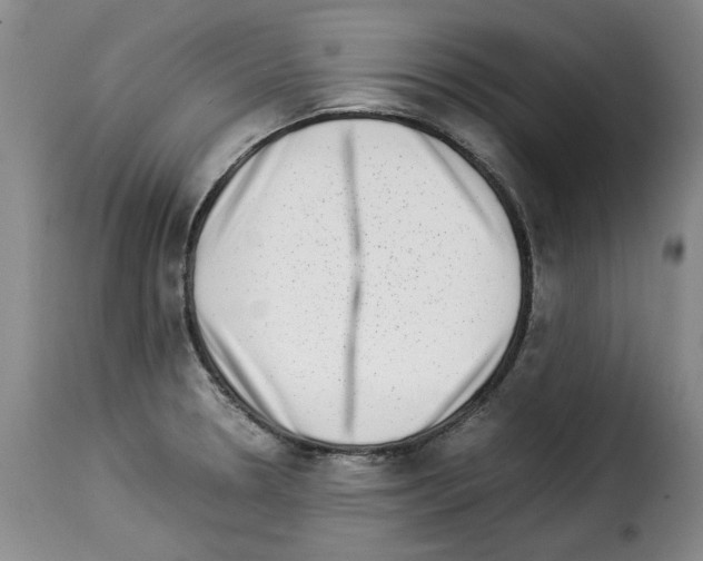 X0000114221330200911201036