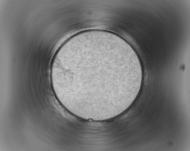 X0000114221332200911201036