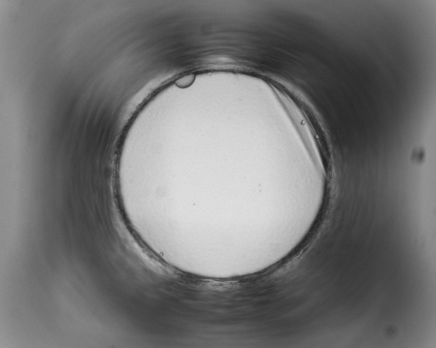 X0000114221333200911201036