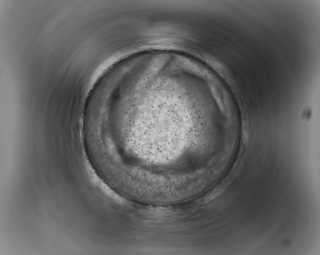 X0000114221334200911201036
