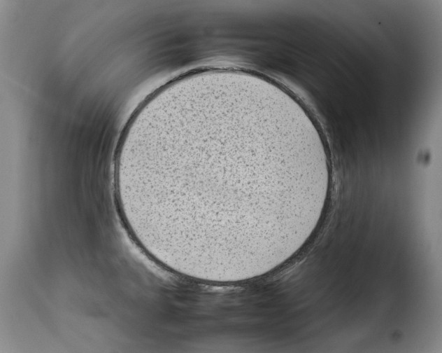 X0000114221335200911201036