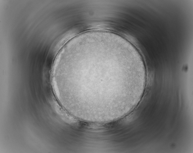 X0000114221338200911201036
