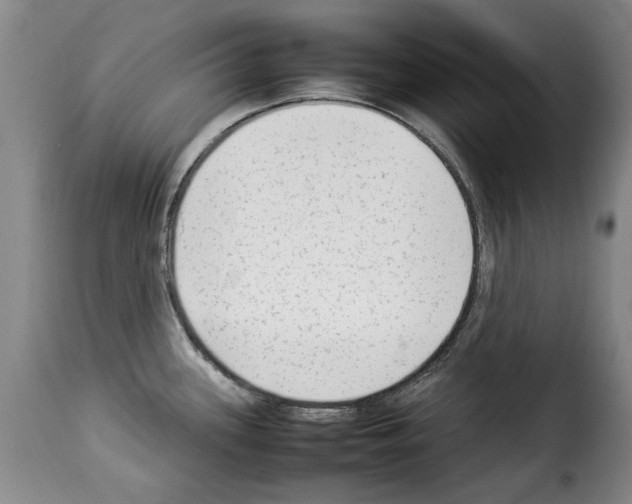 X0000114221339200911201036