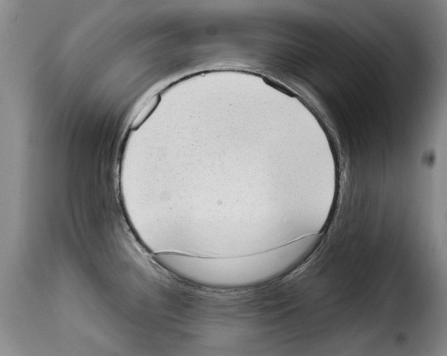 X0000114221340200911201036
