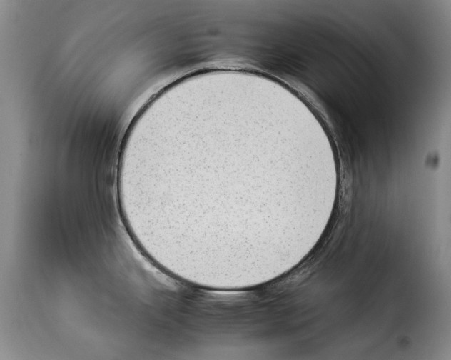 X0000114221343200911201037