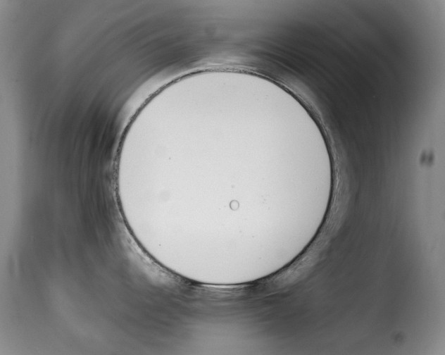 X0000114221344200911201037