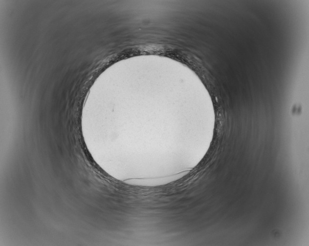 X0000114221345200911201036