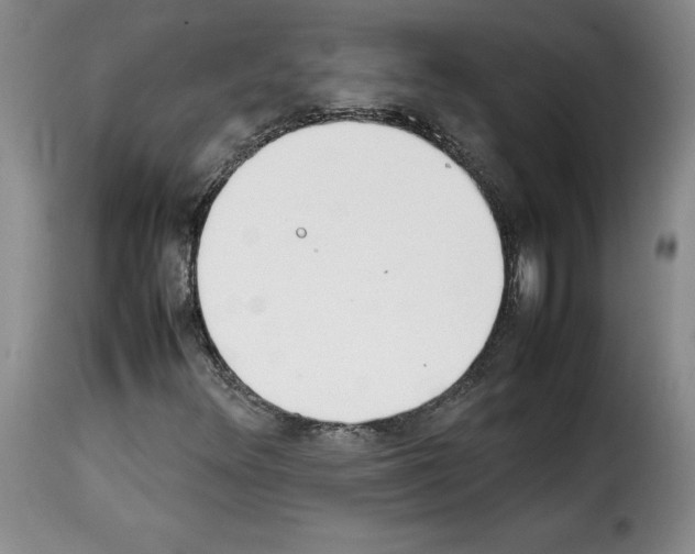 X0000114221348200911201036
