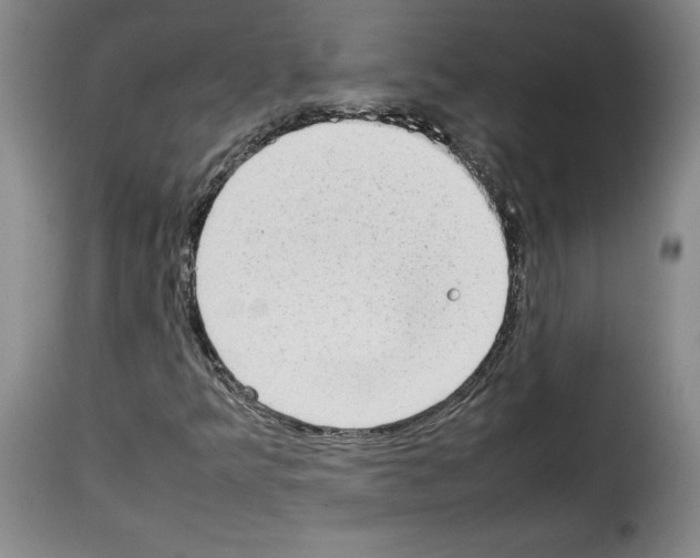 X0000114221349200911201036
