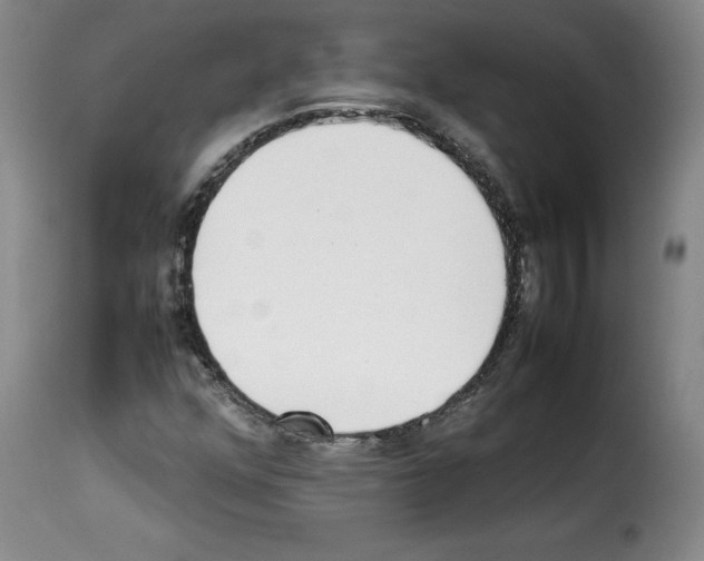 X0000114221352200911201036