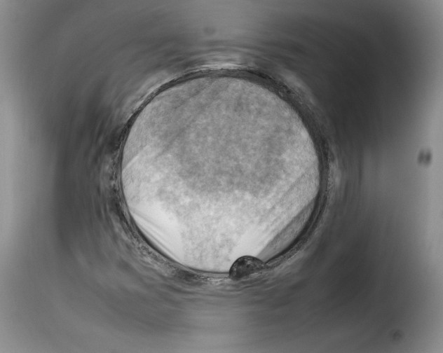 X0000114221353200911201036