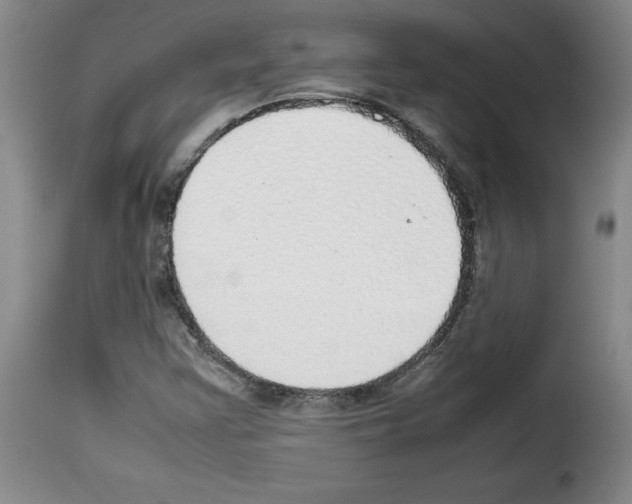 X0000114221355200911201036