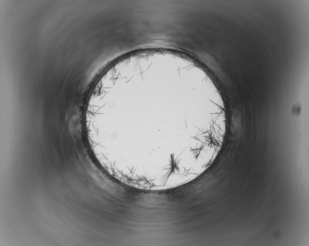 X0000114221356200911201036