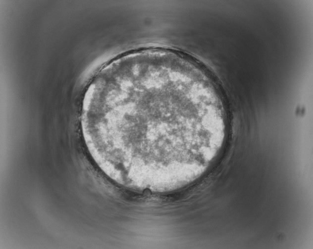 X0000114221359200911201036