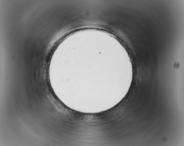 X0000114221360200911201036