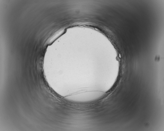 X0000114221361200911201035