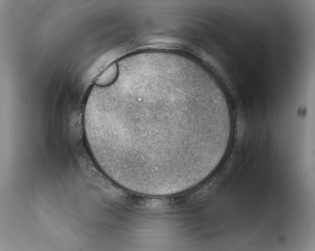 X0000114221362200911201035