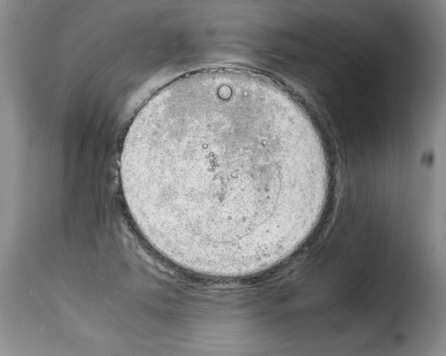 X0000114221363200911201035