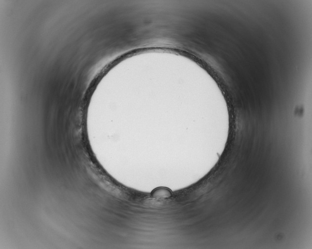 X0000114221364200911201035