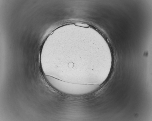 X0000114221365200911201035