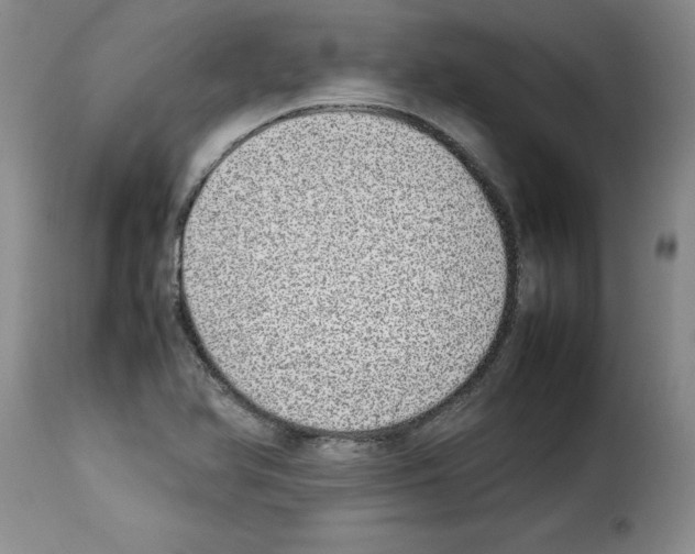 X0000114221366200911201035