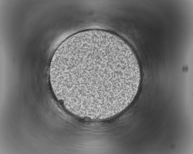 X0000114221367200911201035