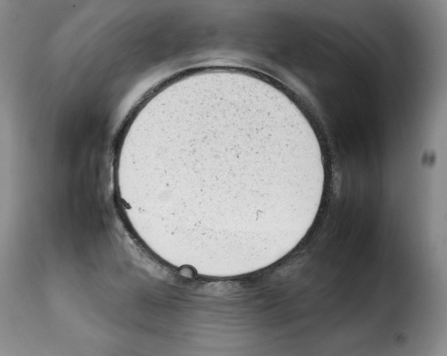 X0000114221368200911201035