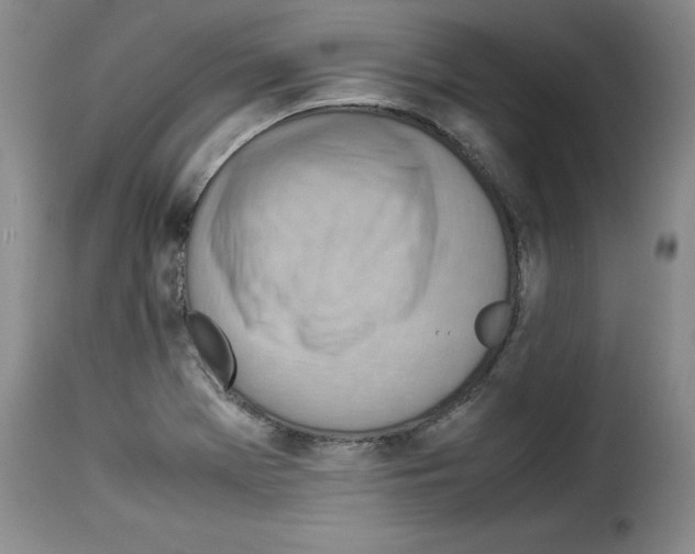 X0000114221369200911201035