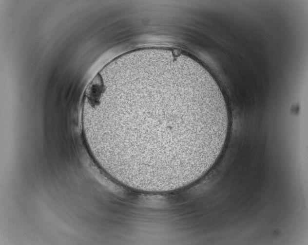 X0000114221370200911201035