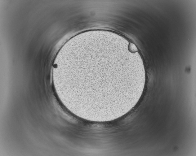 X0000114221371200911201035
