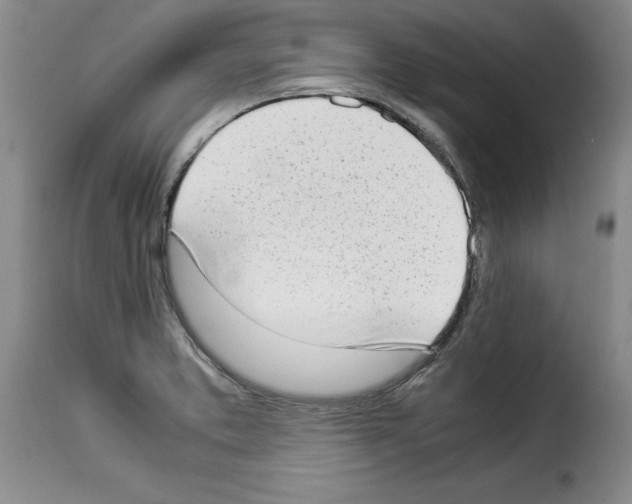 X0000114221373200911201035