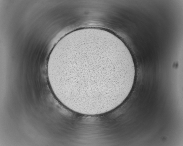 X0000114221374200911201035