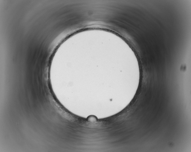 X0000114221376200911201035