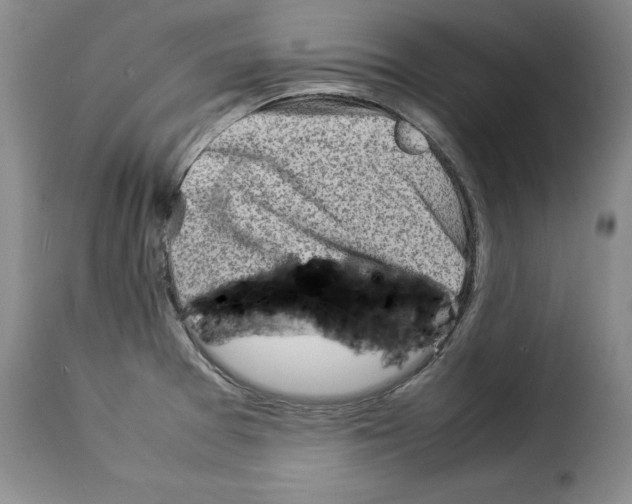 X0000114221377200911201035