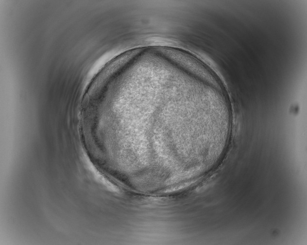X0000114221381200911201035