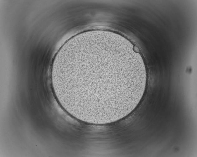 X0000114221382200911201035