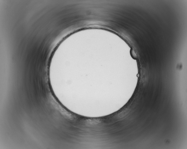 X0000114221384200911201035