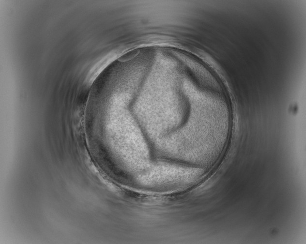 X0000114221385200911201035