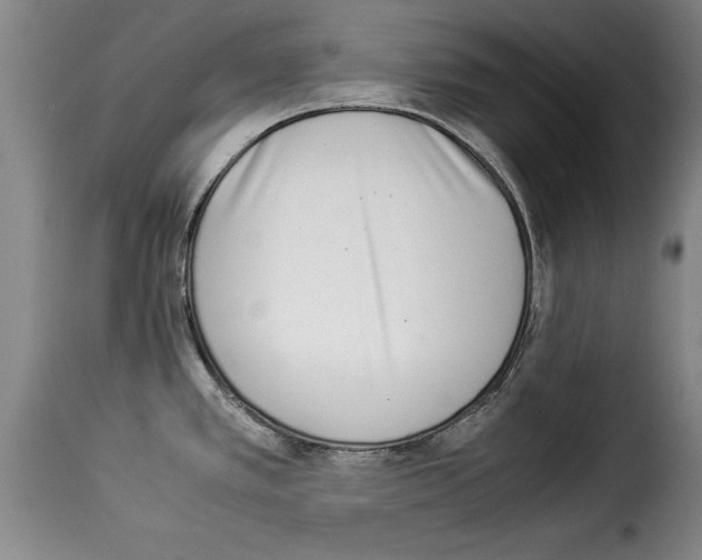 X0000114221389200911201035