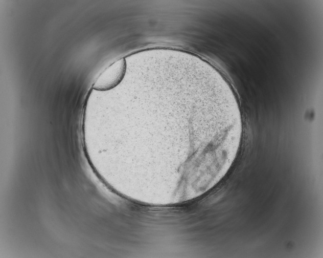 X0000114221391200911201035
