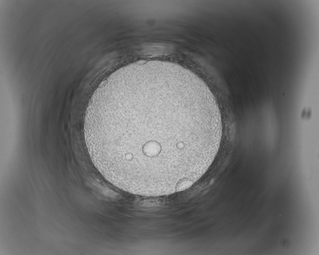 X0000114221393200911201034