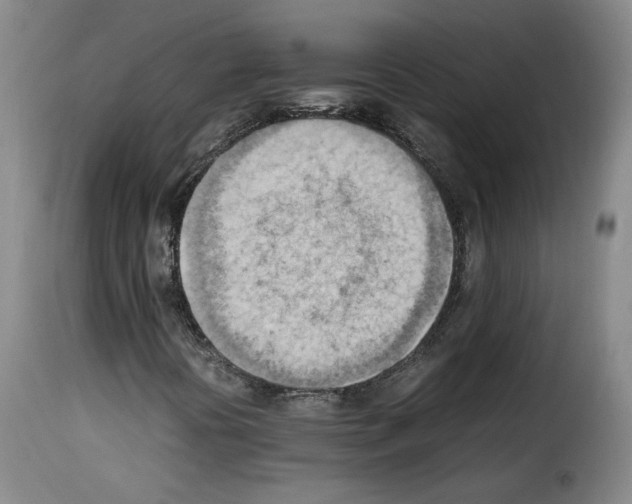 X0000114221394200911201034